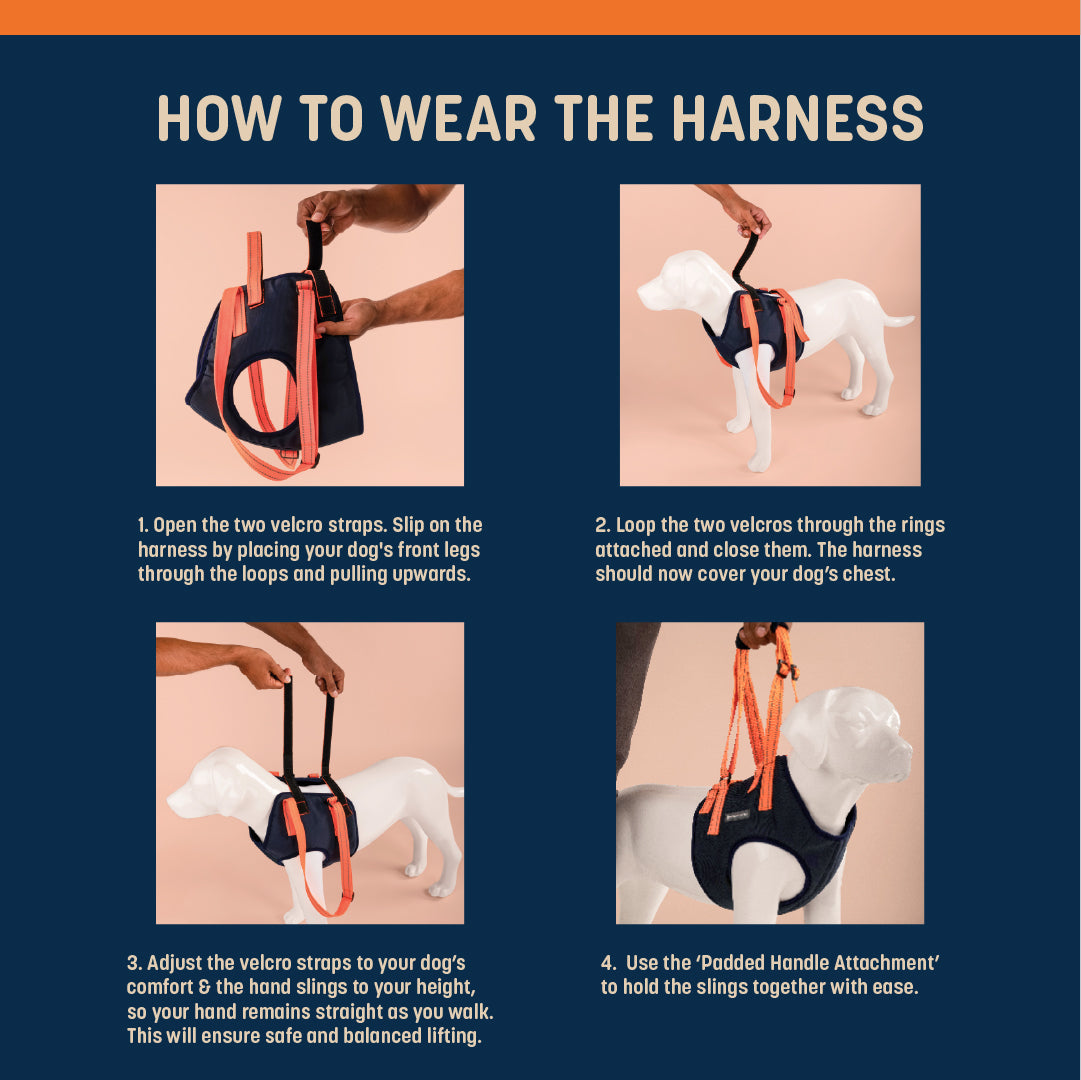 HUFT Trooper Front Leg Support Lift Harness For Dogs