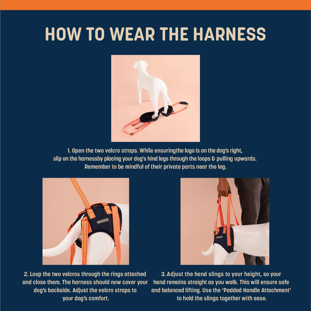 HUFT Trooper Hind Leg Support Lift Harness For Dogs