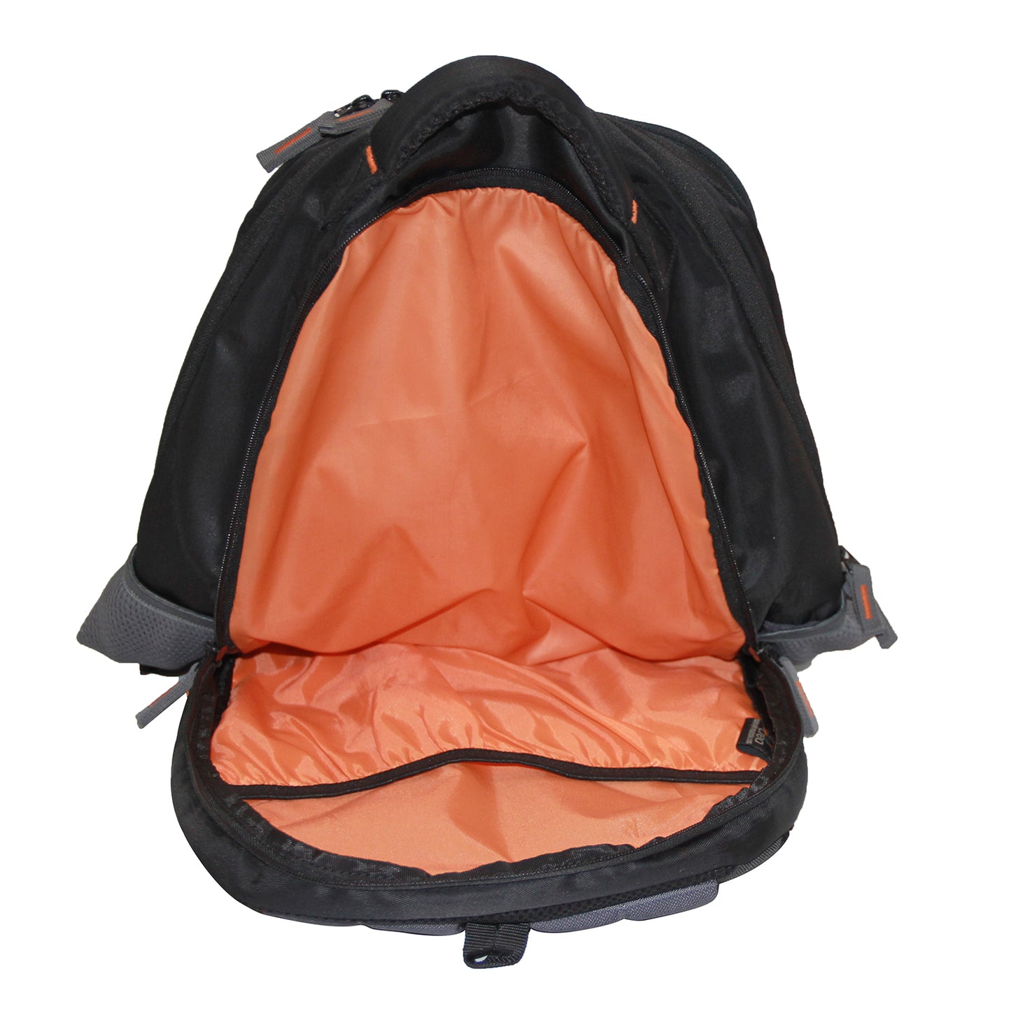 Black & Grey Spacious Daypack