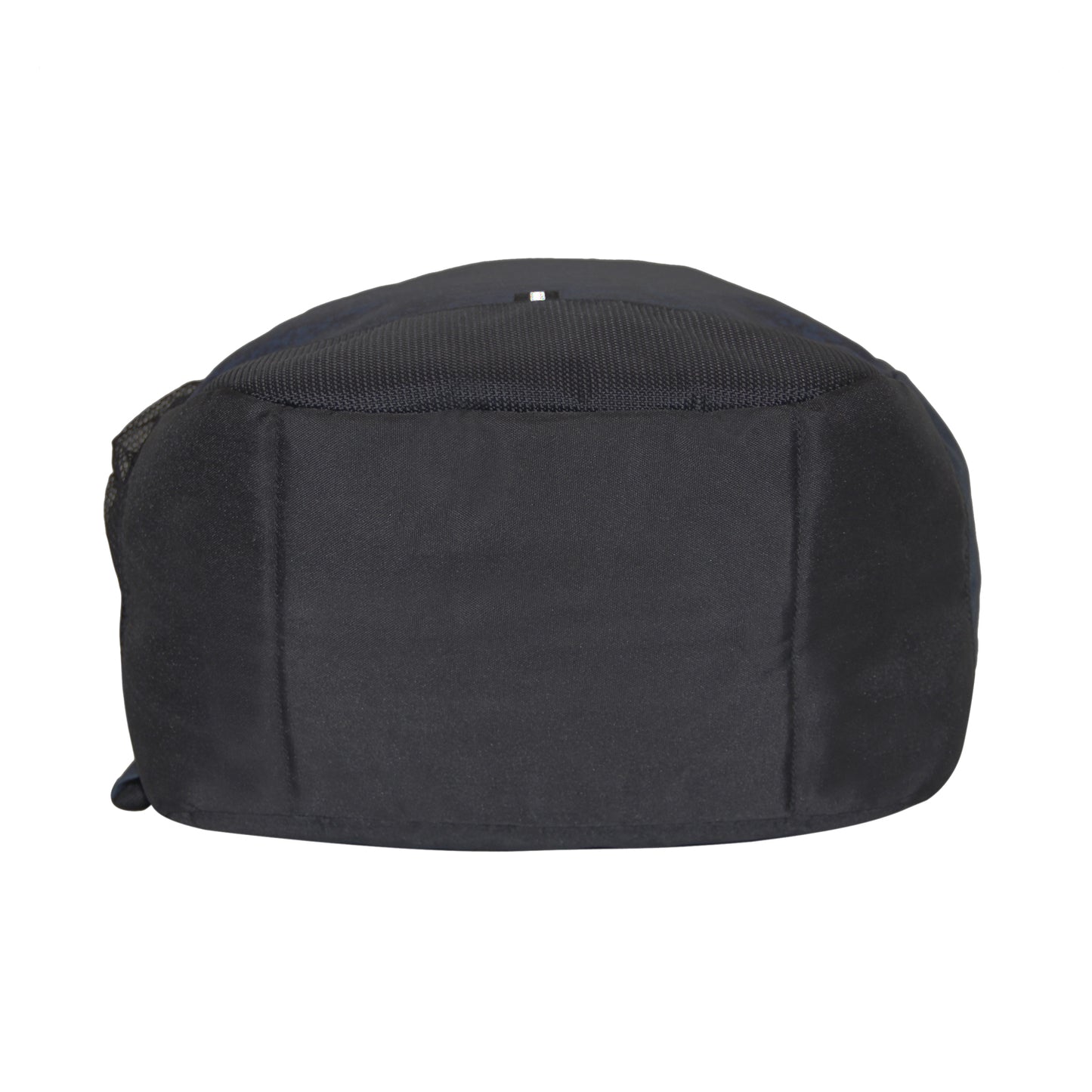 Blue & Black Regular Backpack