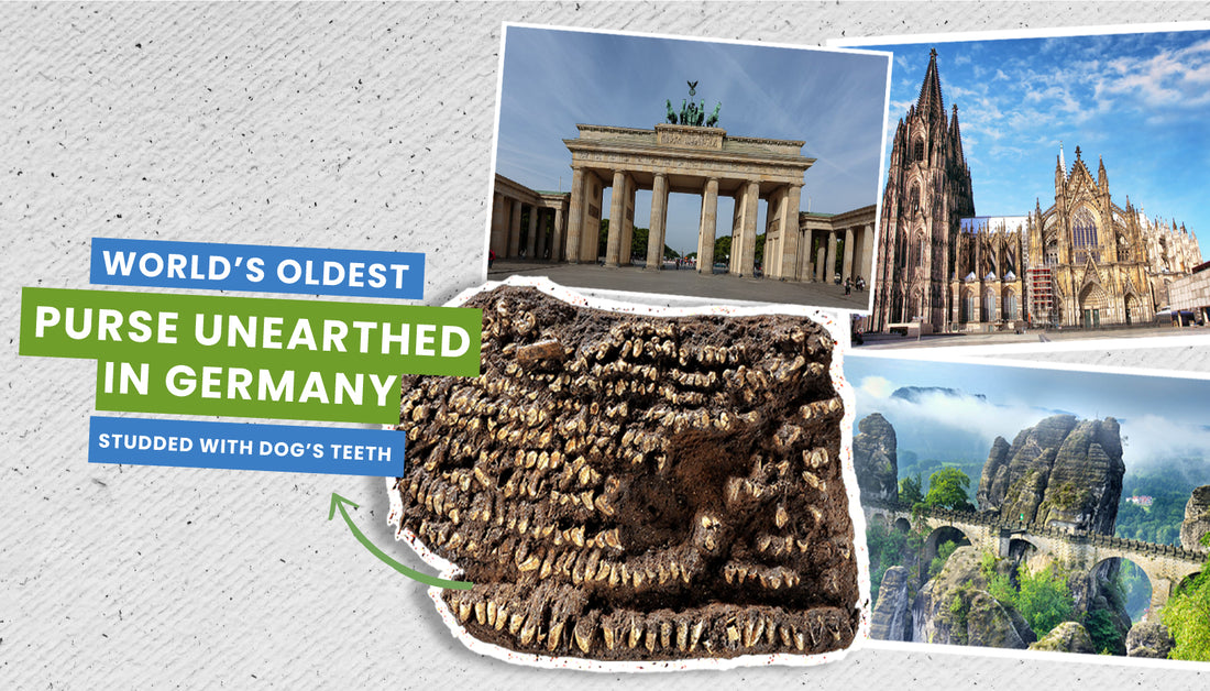 The World's Oldest Purse Unearthed in Germany