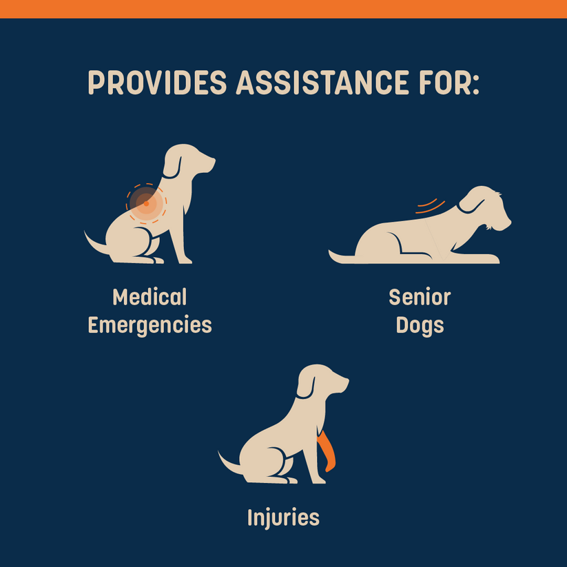 HUFT Trooper Stretcher For Dog - Navy Blue