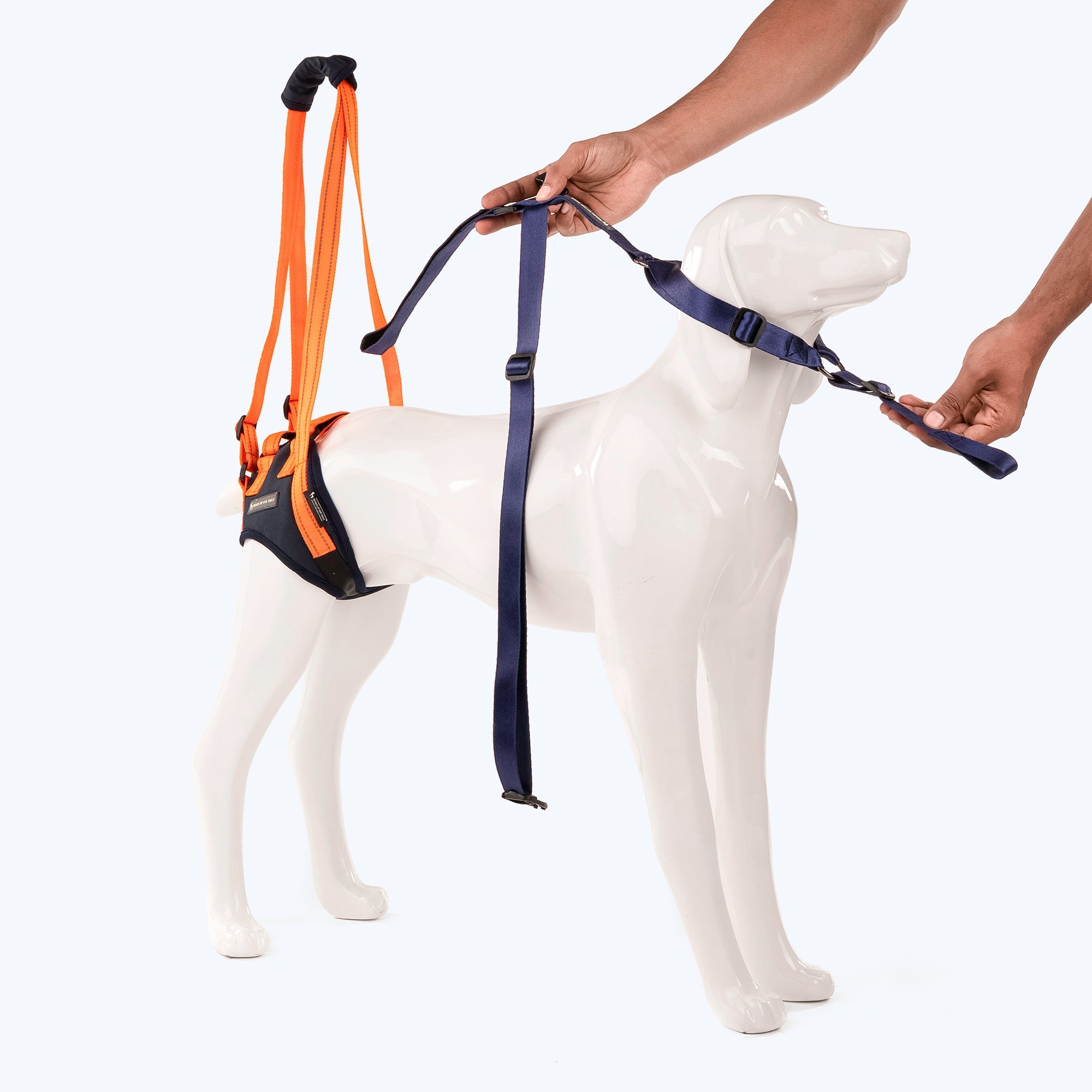 Dog hind leg support harness best sale