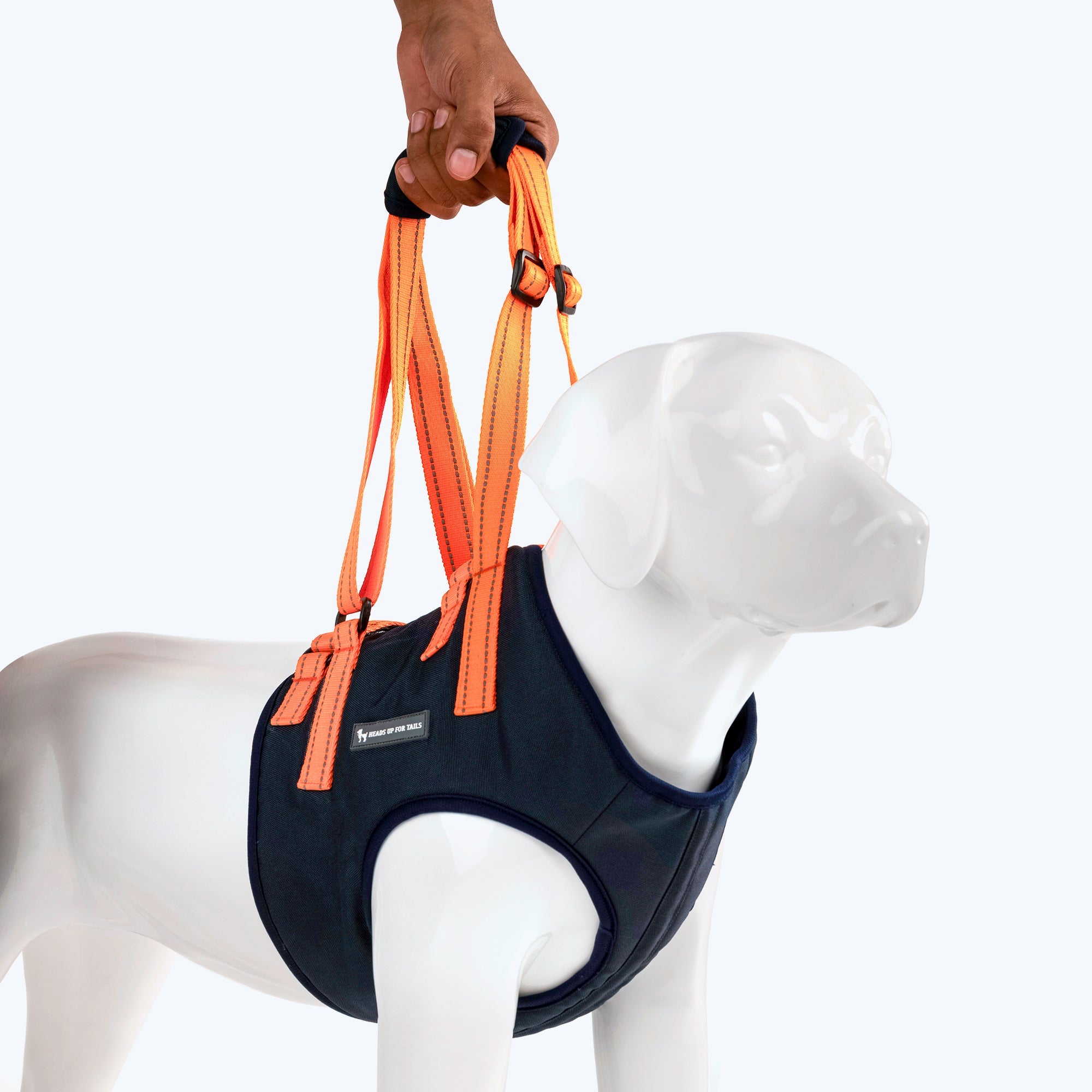 Dog harness to support front legs hotsell